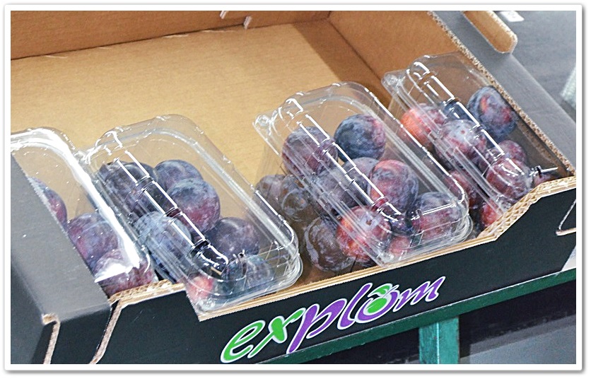 explum extremadura ciruela calidad confeccion