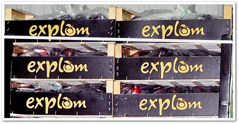 explum extremadura ciruela envases