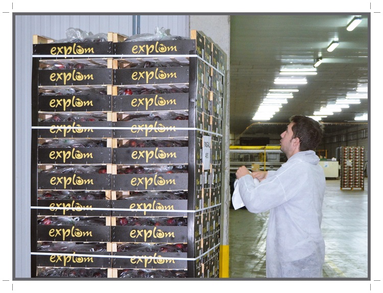 explum extremadura confianza responsabilidad exportacion ultramar