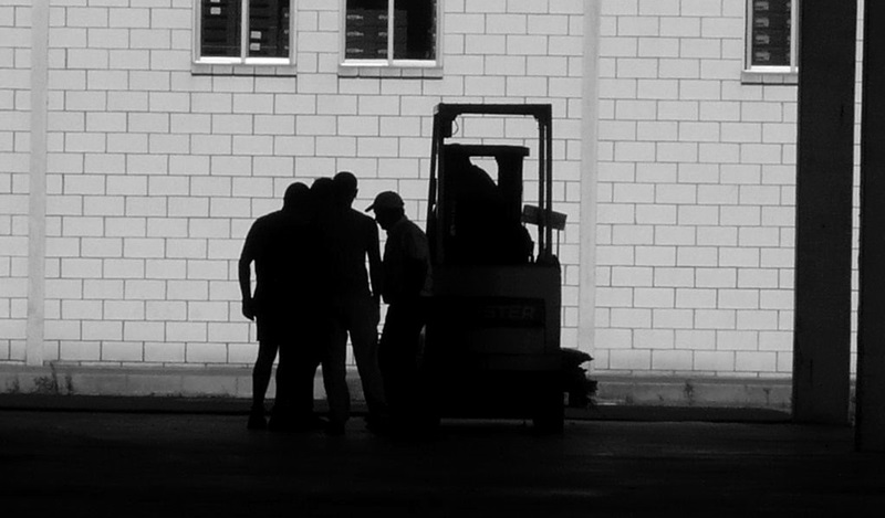 explum extremadura fruta hueso valdelacalzada trabajadores